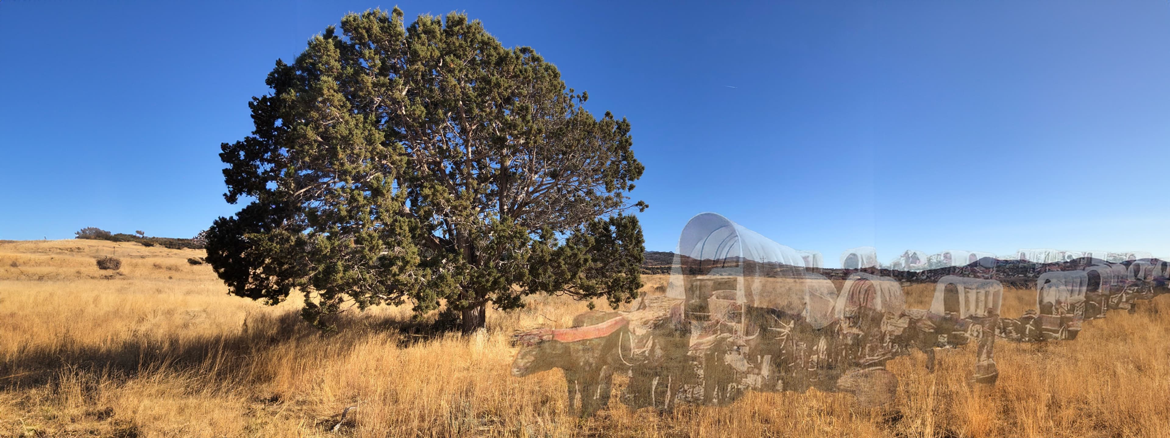 Mountain Meadows historical site